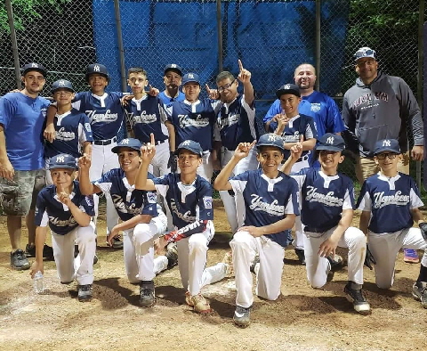 2019MajorsChampionsYankees